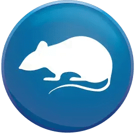 Best Pest Control Qatar | Hegy Pest Control Services in Doha