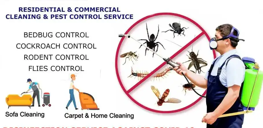 top 10 cleaning companies in qatar