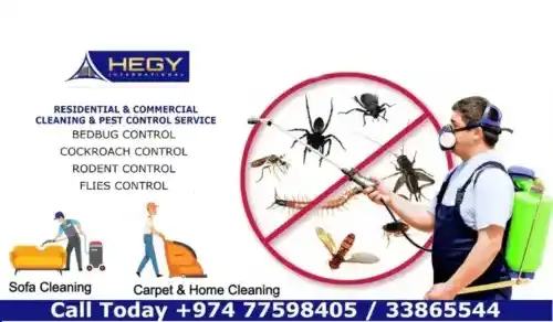 Best Pest Control Services in Qatar | Pest Control Company in Doha