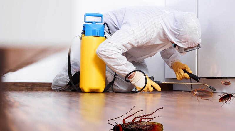 pest control qatar