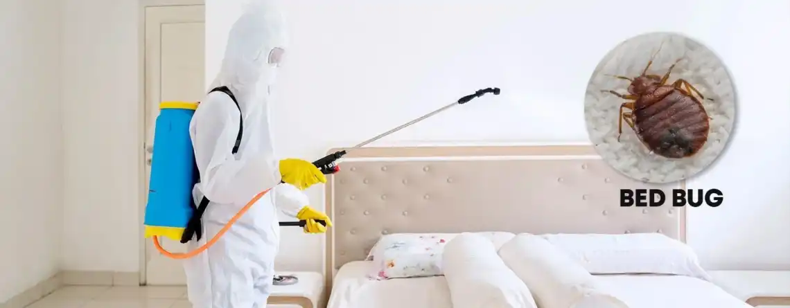bed bug control in qatar