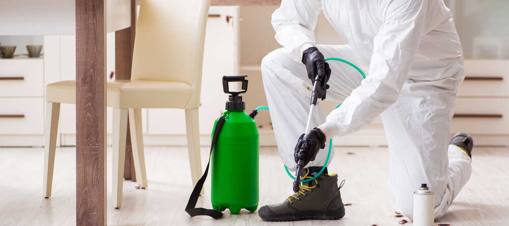 pest control in qatar