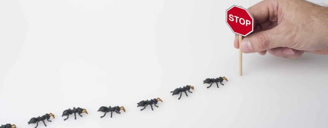 ant control in qatar