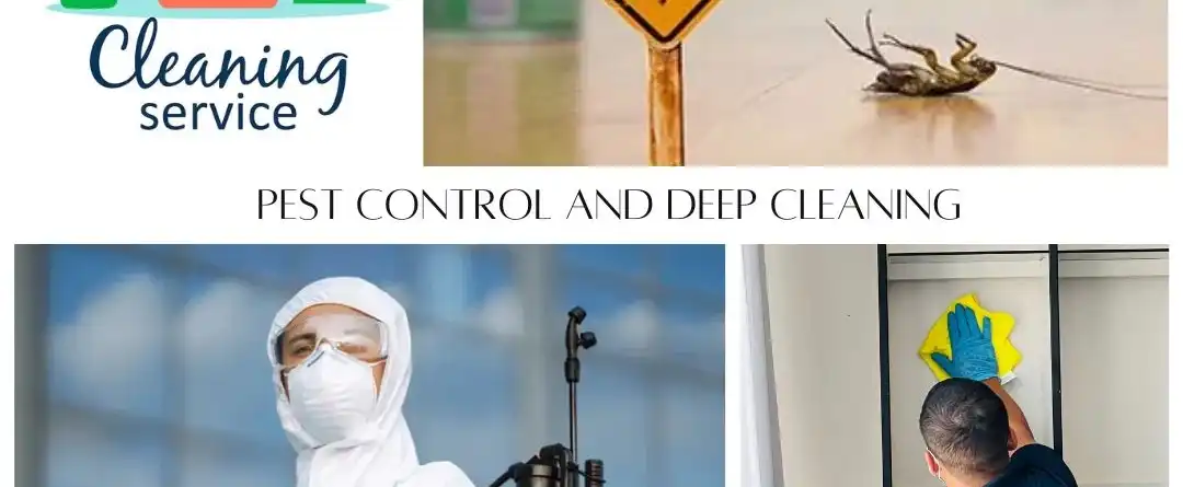 cleaning and pest control in qatar