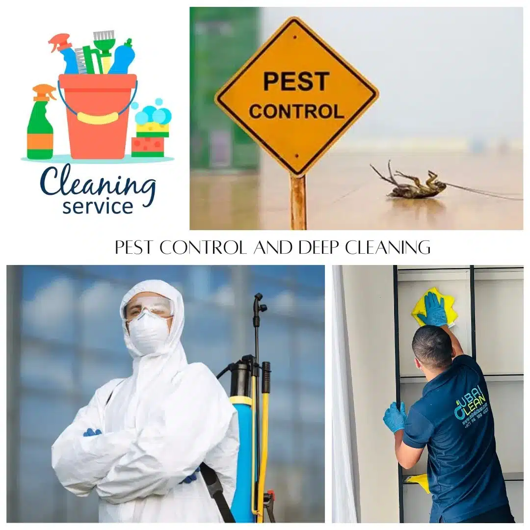 Curated visual reference: Luxury Eco Friendly Apartment Pest Control Reference: Eco Friendly Pest Control In Qatar