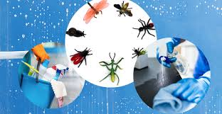 cleaning and pest control services in qatar