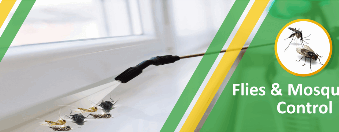 flies control in doha qatar