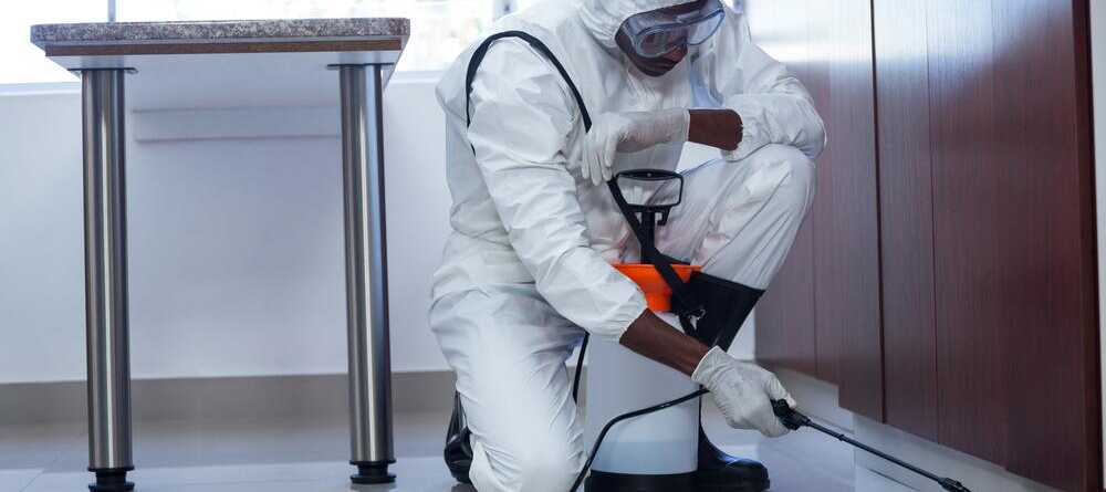 fumigation services in qatar