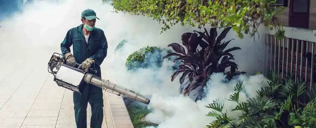 mosquito control in doha qatar