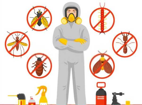 pest control qatar