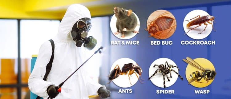 pest control services company in qatar